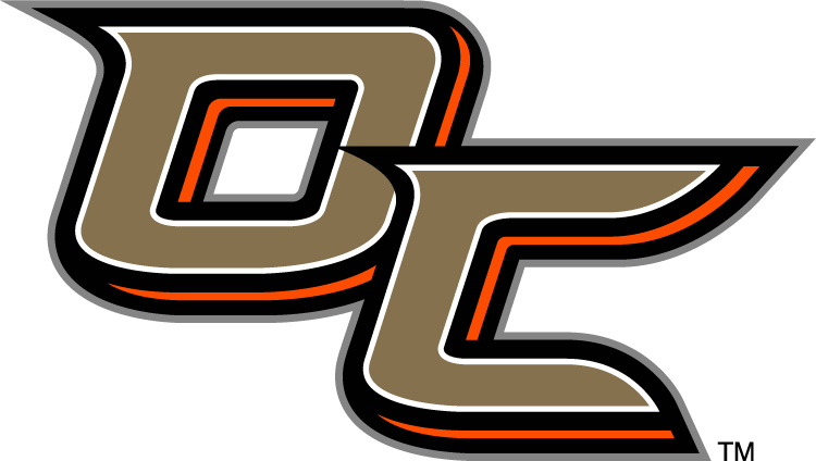Anaheim Ducks 2014 Special Event Logo iron on heat transfer